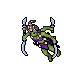 Floribra